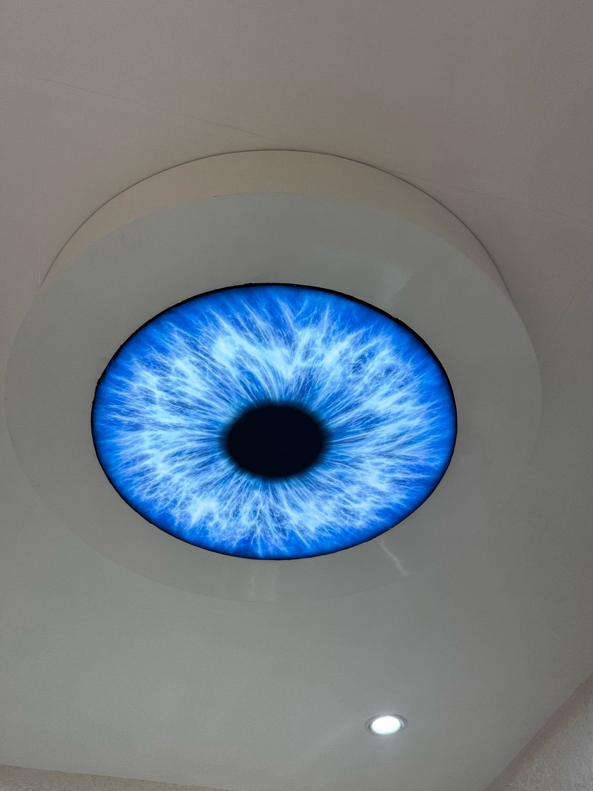 Nagpal Opticians eyewear & optical retail — photo 6